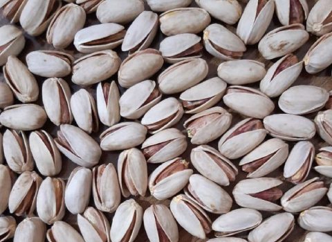 پسته اکبری دامغان در بسته‌ بندی متنوع